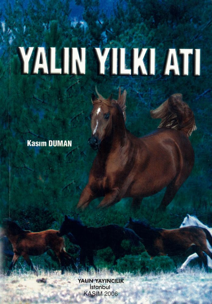 YALIN YILKI ATI (Şiirler) (KASIM DUMAN)